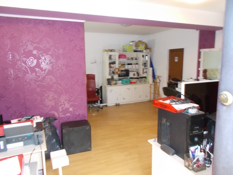 imobiliare timisoara