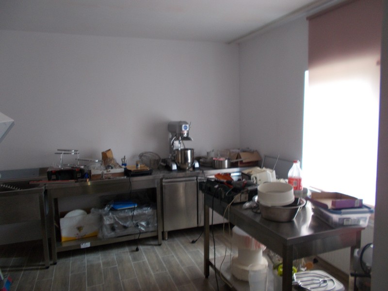 imobiliare timisoara