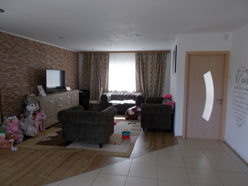 imobiliare timisoara