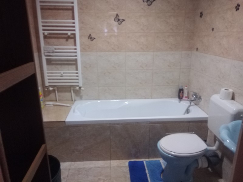 imobiliare timisoara