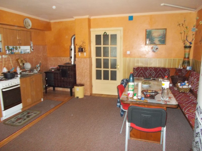 imobiliare timisoara