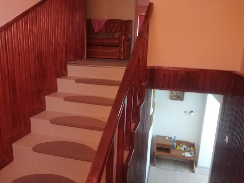 imobiliare timisoara