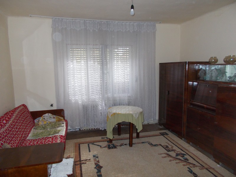 imobiliare timisoara