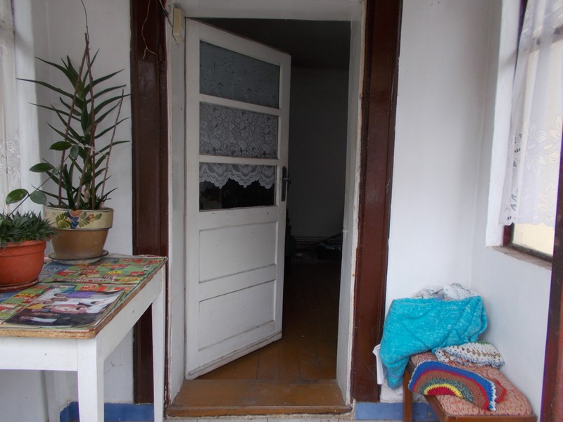 imobiliare timisoara