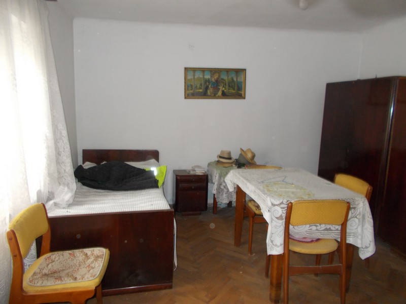 imobiliare timisoara