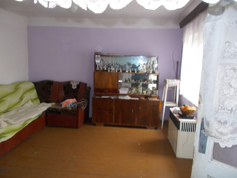 imobiliare timisoara