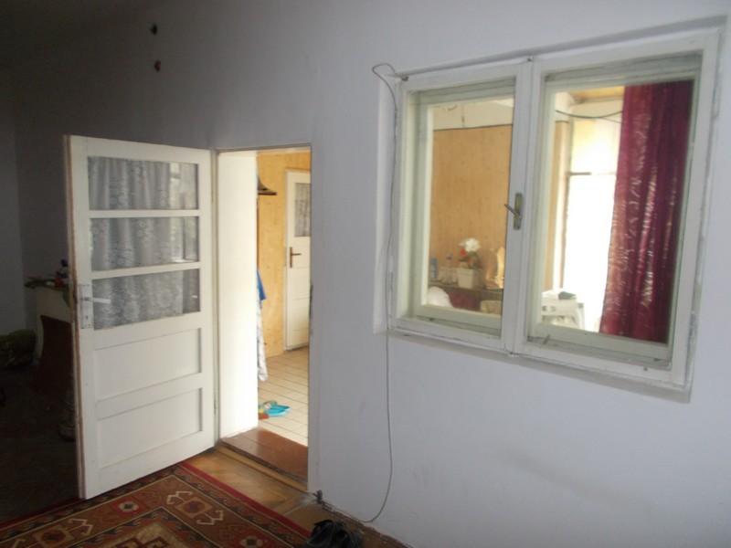 imobiliare timisoara