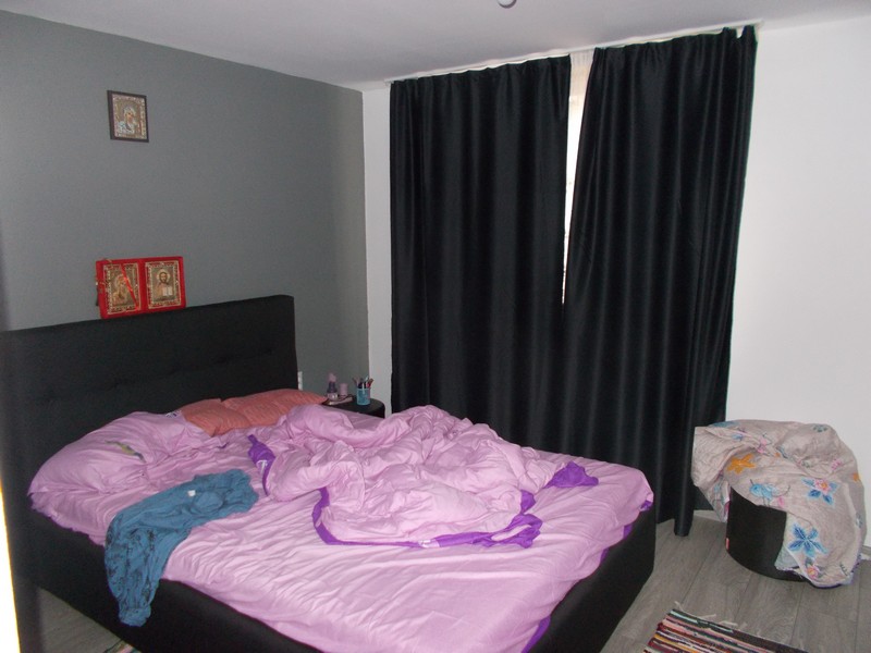 imobiliare timisoara