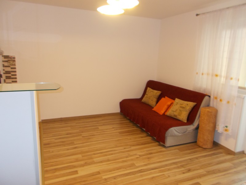 imobiliare timisoara