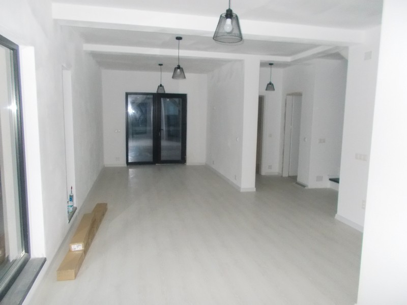 imobiliare timisoara