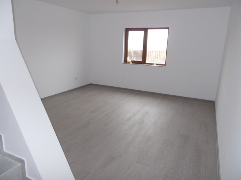 imobiliare timisoara