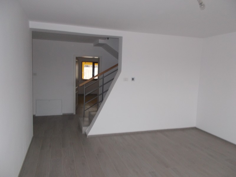 imobiliare timisoara