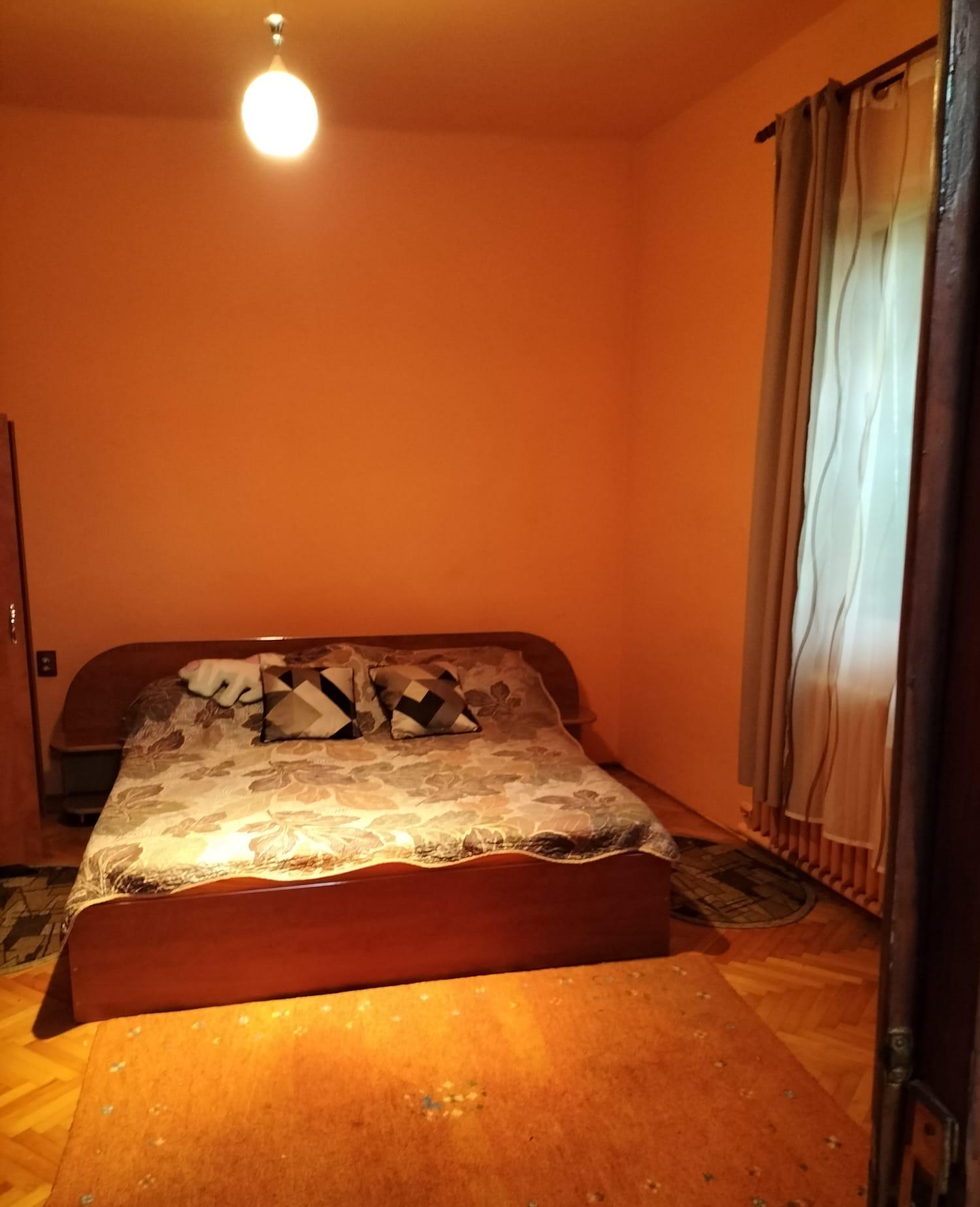 imobiliare timisoara