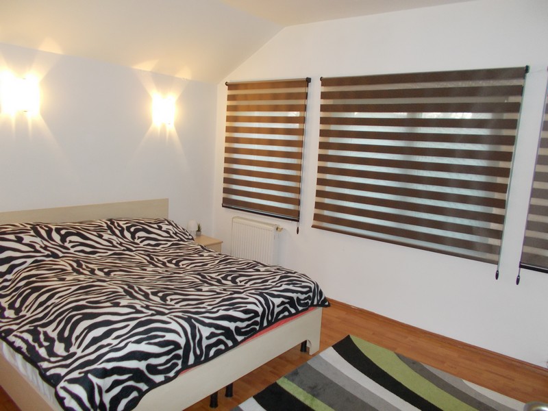 imobiliare timisoara