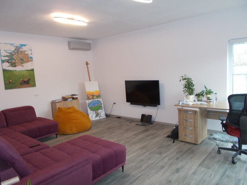 imobiliare timisoara
