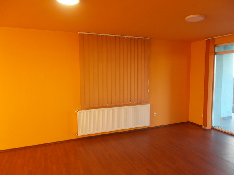 imobiliare timisoara