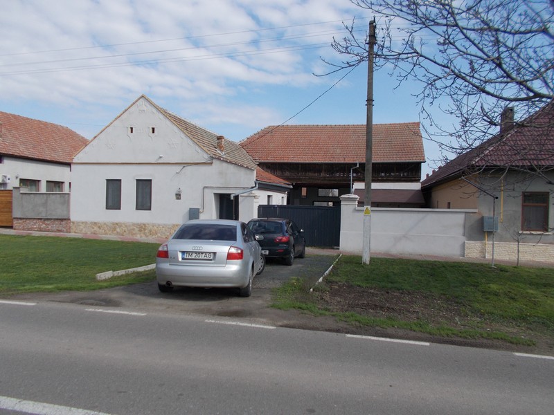 imobiliare timisoara