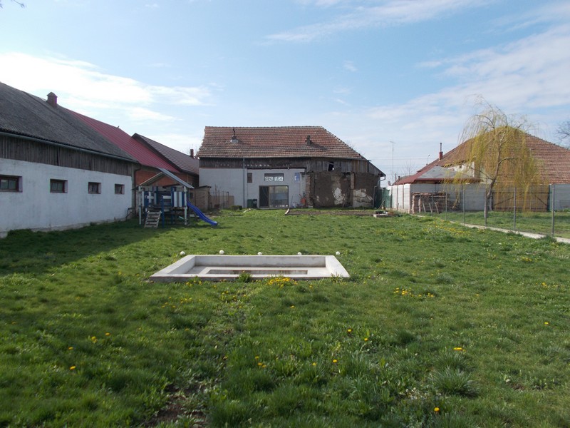 imobiliare timisoara