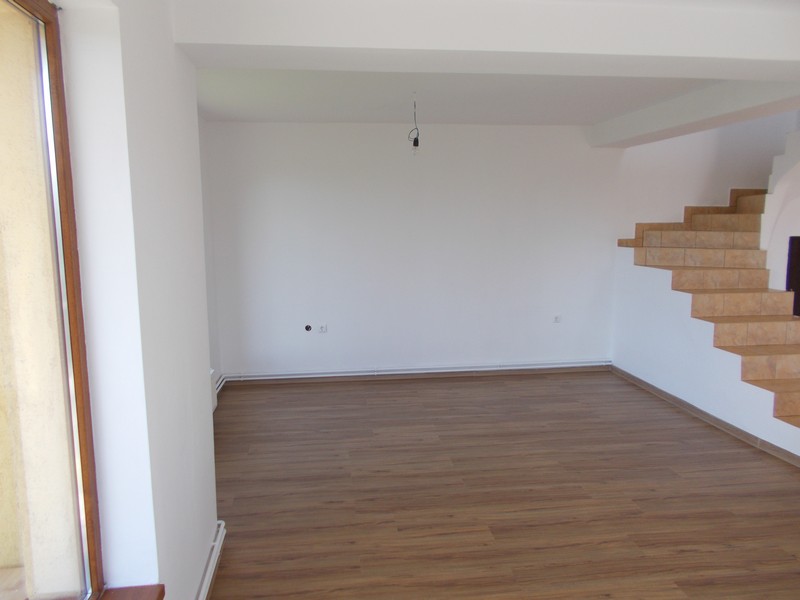 imobiliare timisoara