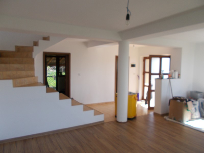 imobiliare timisoara