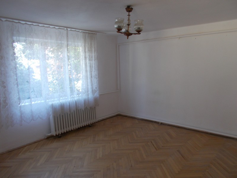 imobiliare timisoara
