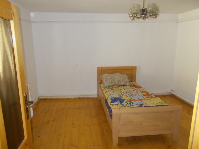 imobiliare timisoara
