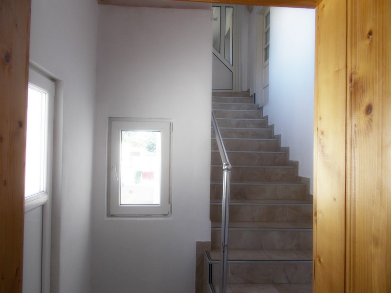 imobiliare timisoara