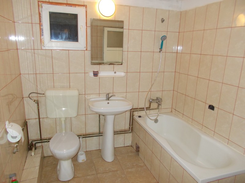 imobiliare timisoara