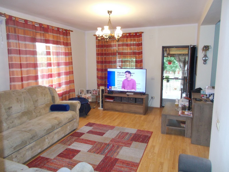 imobiliare timisoara