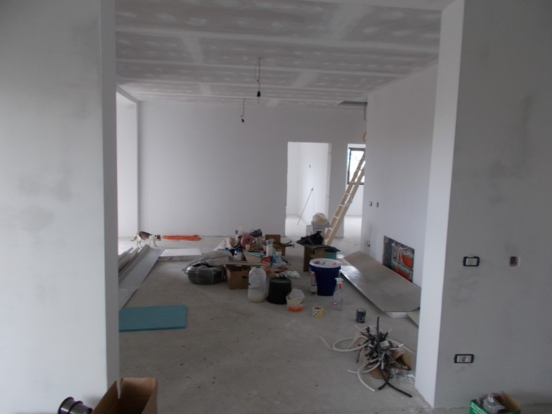 imobiliare timisoara