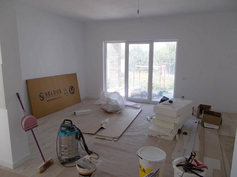 imobiliare timisoara