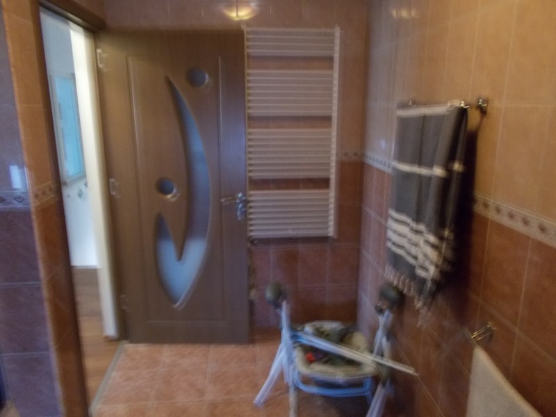 imobiliare timisoara