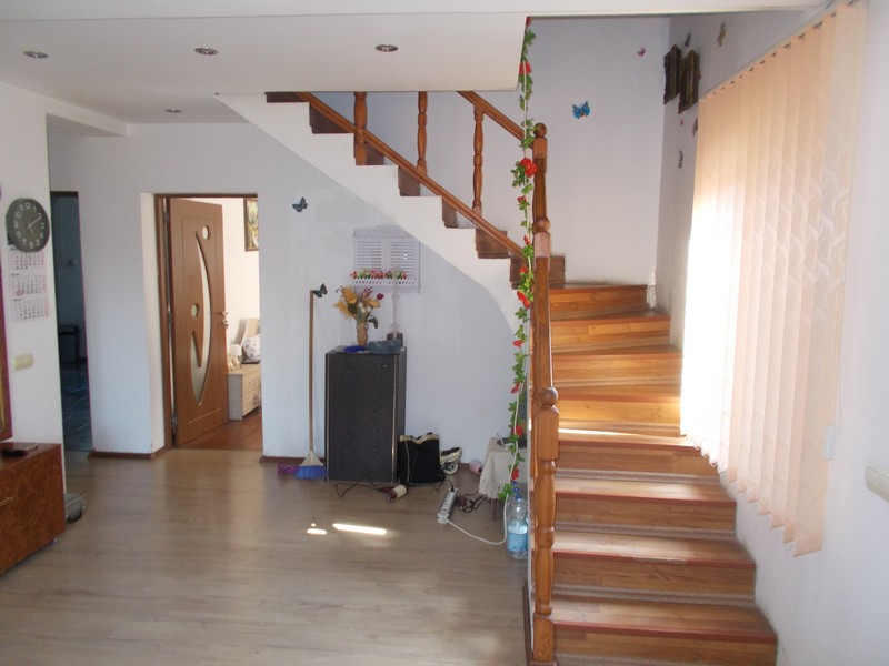 imobiliare timisoara