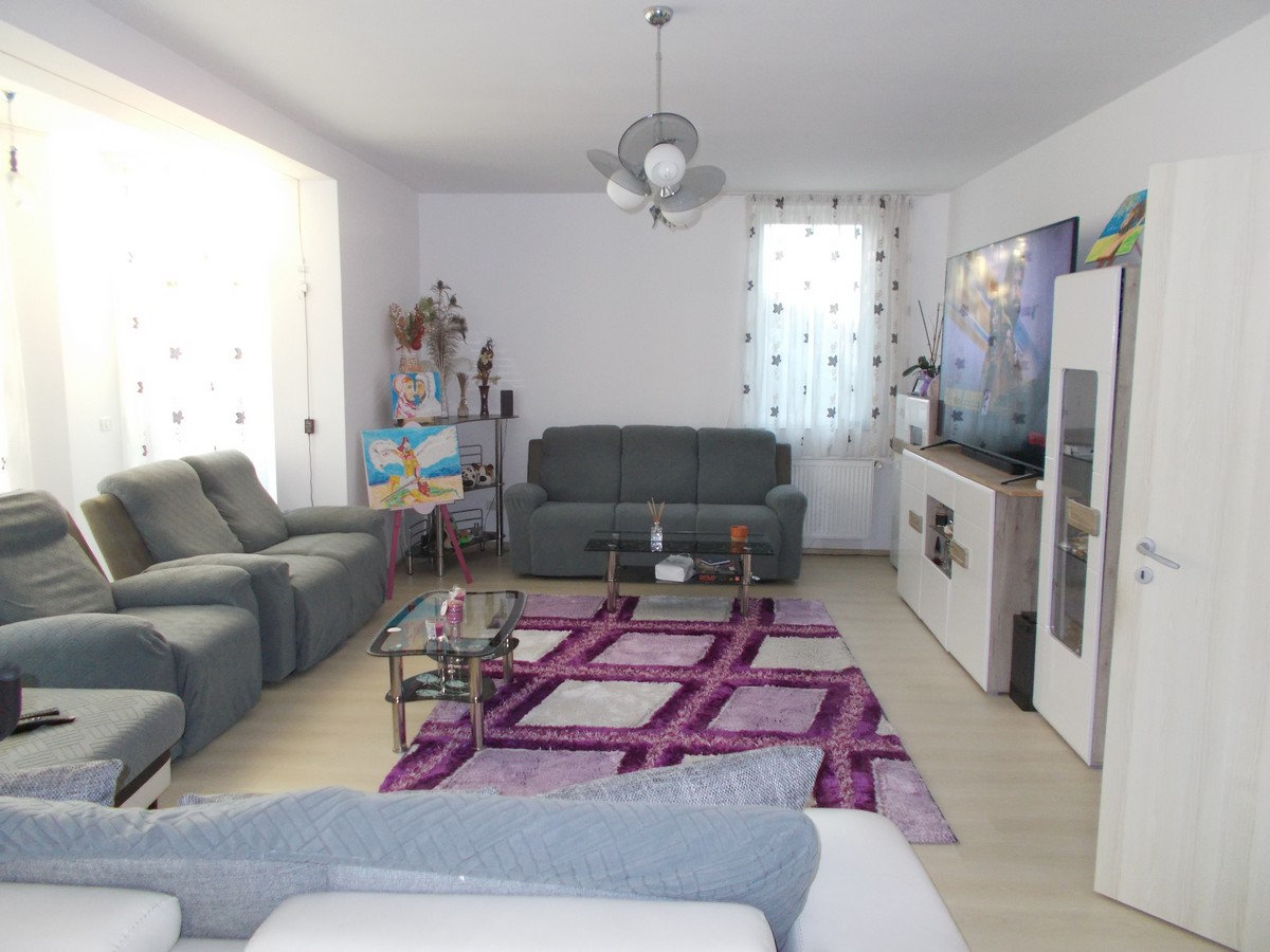 imobiliare timisoara