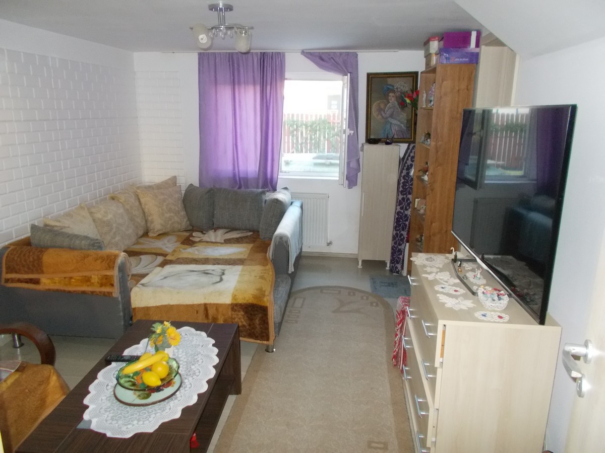 imobiliare timisoara