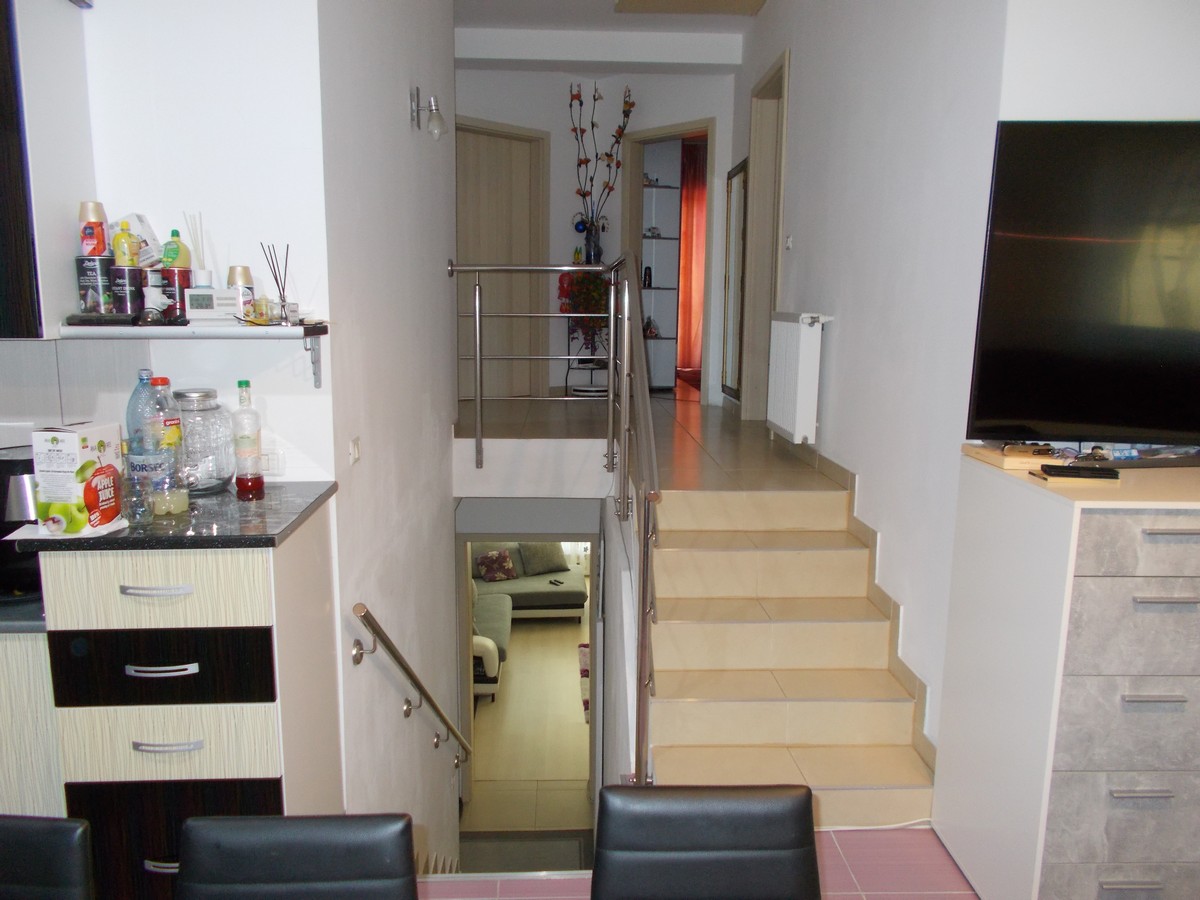 imobiliare timisoara