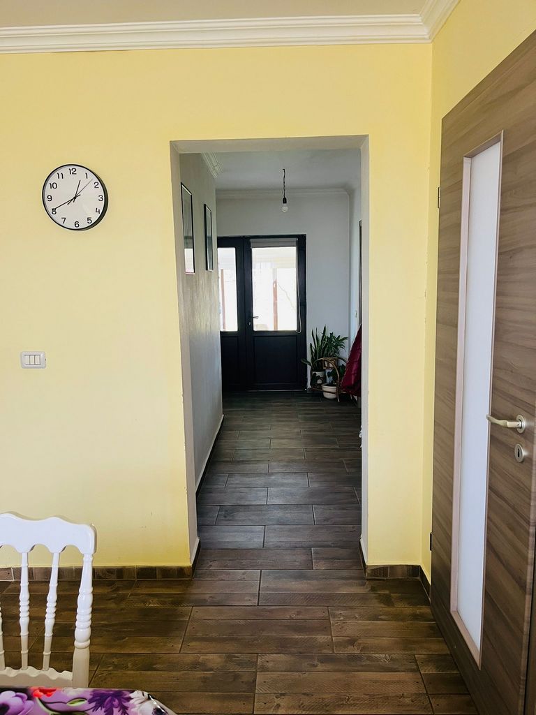 imobiliare timisoara
