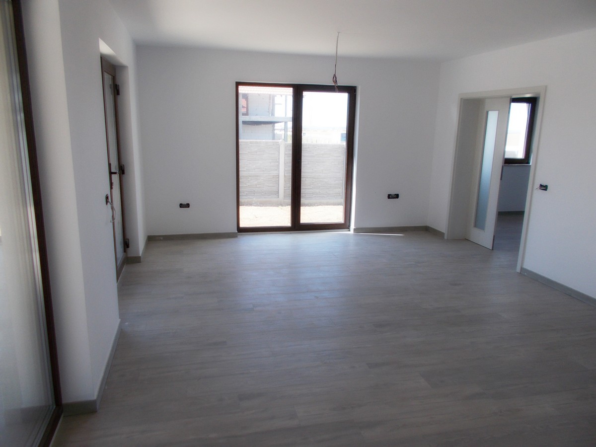imobiliare timisoara