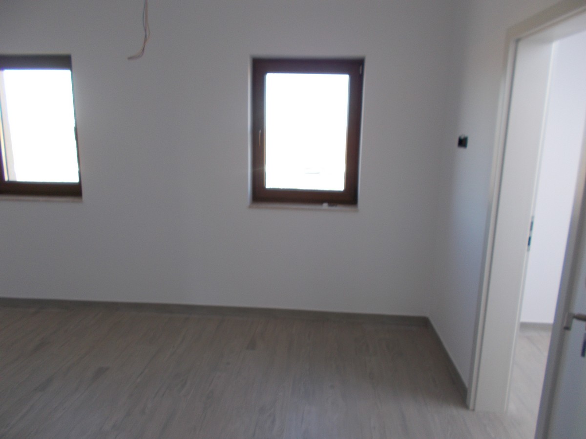 imobiliare timisoara