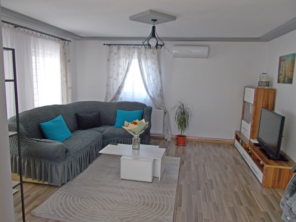 imobiliare timisoara