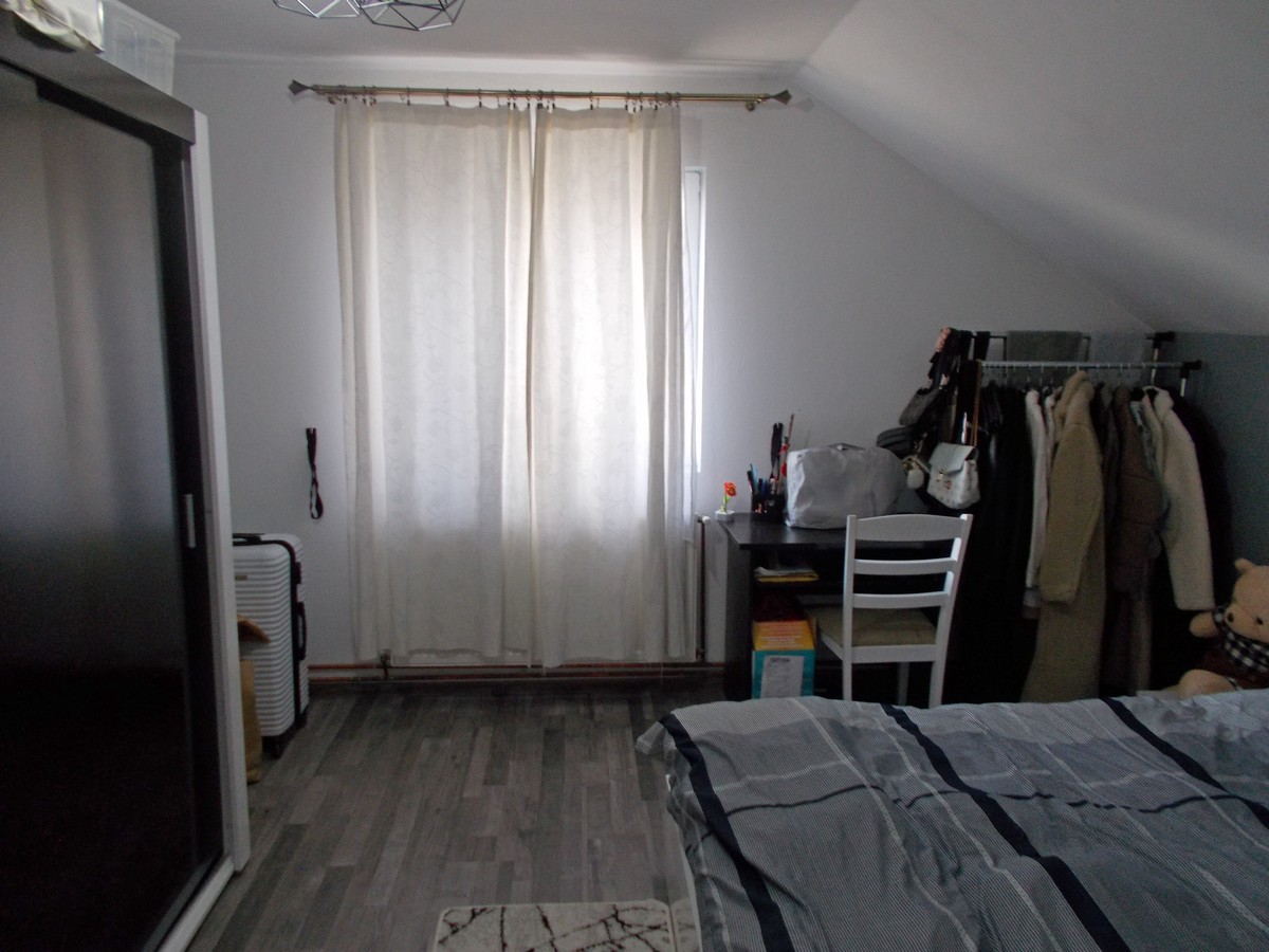 imobiliare timisoara