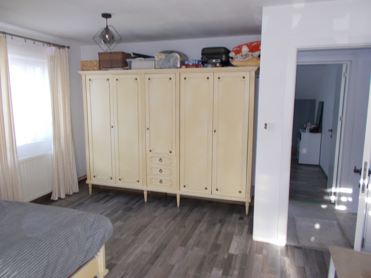 imobiliare timisoara