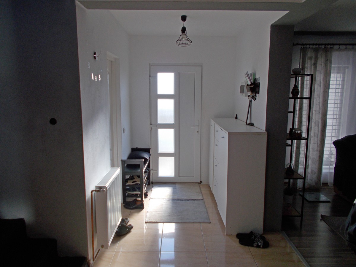 imobiliare timisoara