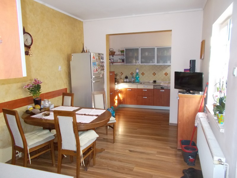 imobiliare timisoara