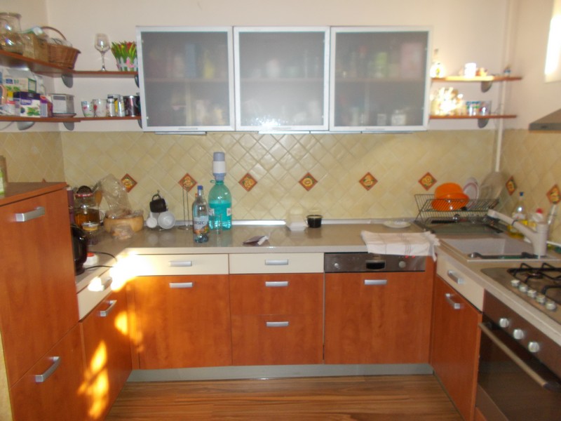 imobiliare timisoara