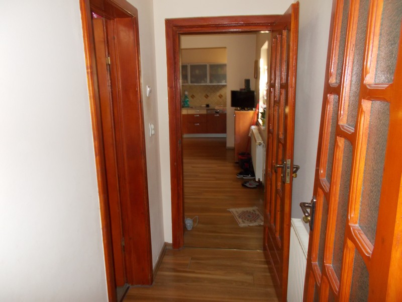 imobiliare timisoara