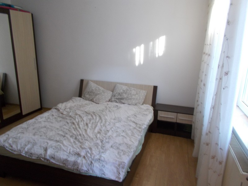 imobiliare timisoara