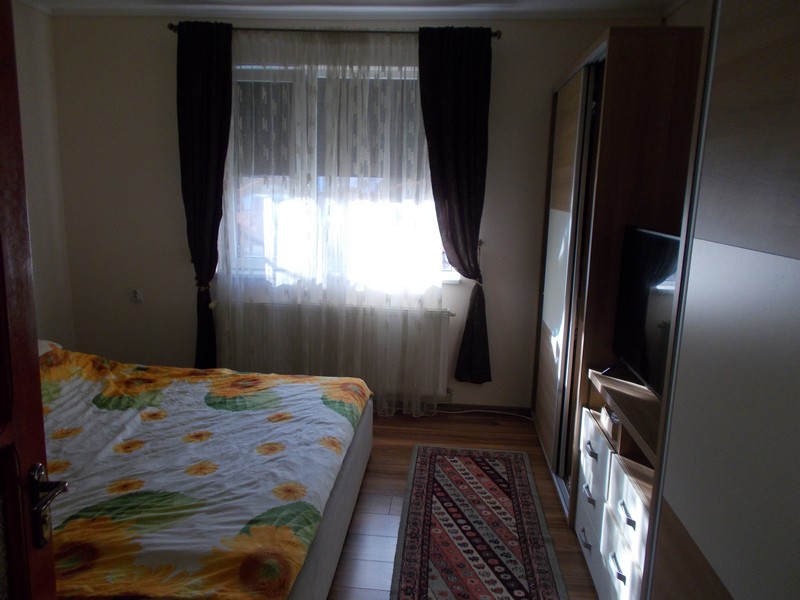 imobiliare timisoara