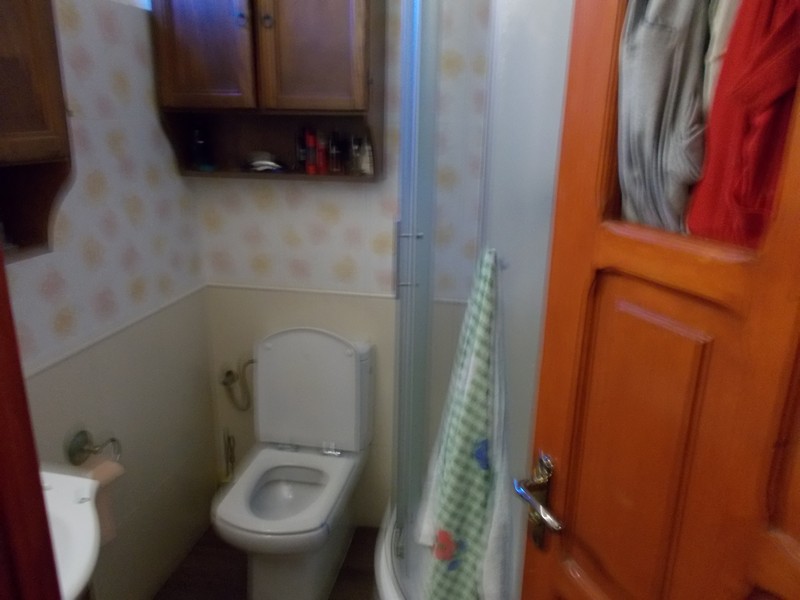 imobiliare timisoara
