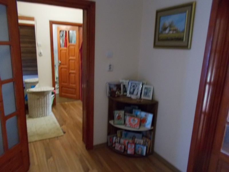 imobiliare timisoara